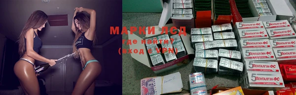 трава Куйбышев