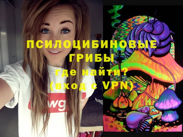 СК Кукмор