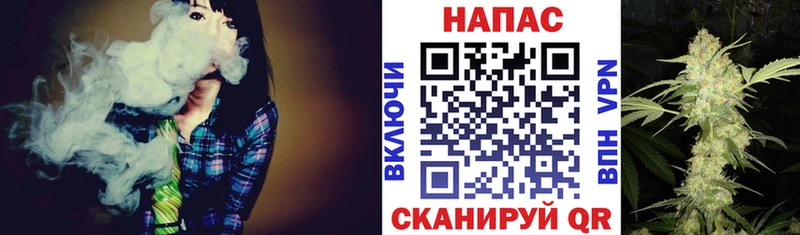 Конопля Bruce Banner  Купить где  Домодедово 